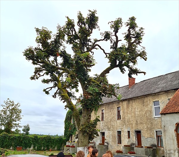 173-Замок Георгенбург